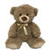 ฟังก์ชั่นการศึกษา 11.8 นิ้ว LED Plush ของเล่นตุ๊กตาหมีตุ๊กตาหมีตุ๊กตาหมีตุ๊กตาหมีตุ๊กตาหมีตุ๊กตาหมีเท็ดดี้