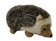 น้ำหนักเบา 0.15m 0.49ft Big Hedgehog ECO Friendly ตุ๊กตาสัตว์