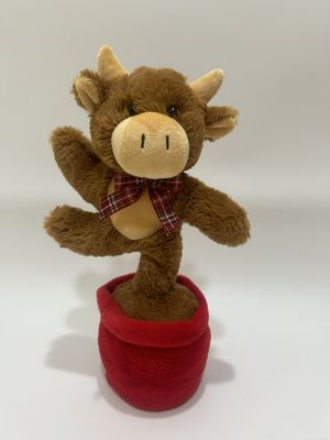 วัวไฮแลนด์ร้องเพลงและเต้นรำ