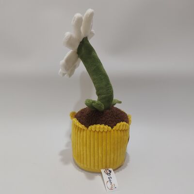 ตุ๊กตาเดซี่ผ้ากำมะหยี่บันทึกเสียงและกลิ้ง