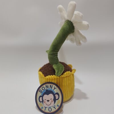 ตุ๊กตาเดซี่ผ้ากำมะหยี่บันทึกเสียงและกลิ้ง